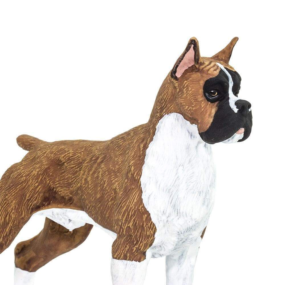 Boxer Toy