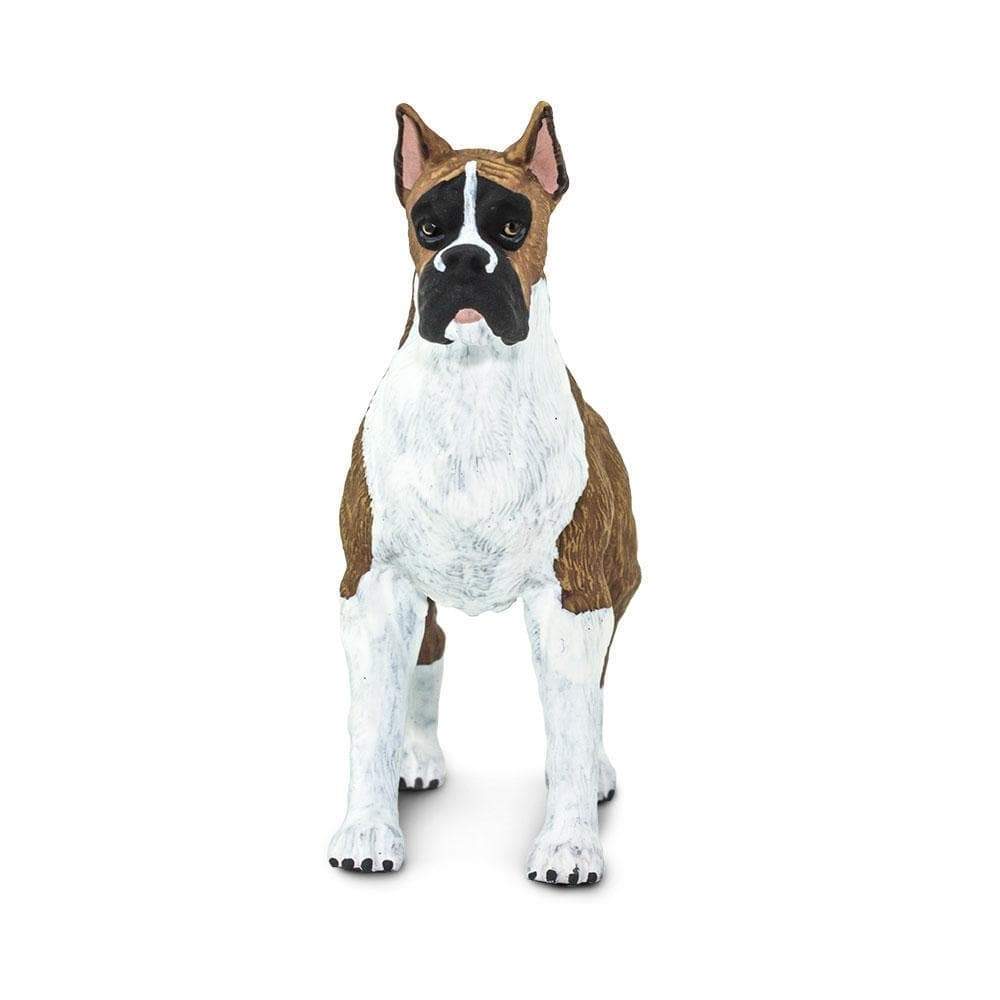 Boxer Toy